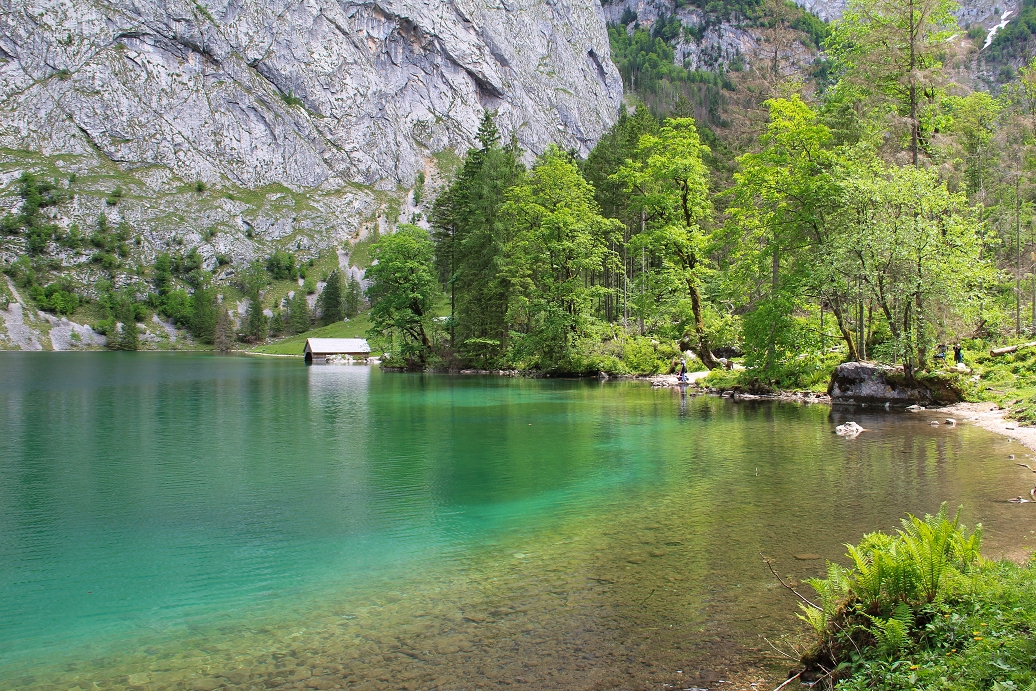 Obersee2
