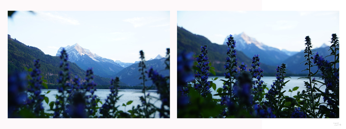 Walensee_Schweiz