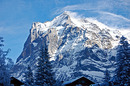 Das Wetterhorn