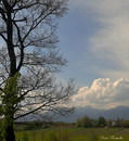 Blick zum Wendelstein!