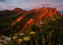 Welcome to the middle Earth 
