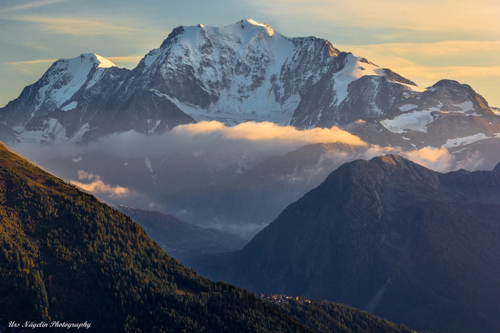in the evening light