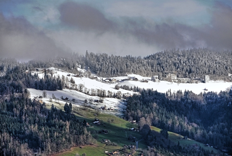 die Schneegrenze 