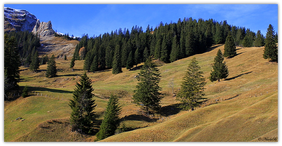 auf der Alm