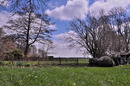 Fotos_Gärten & Parks