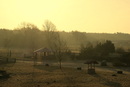 Morgendämerung