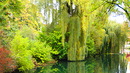 Fotos_Gärten & Parks