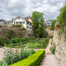 Eltville - Rosengarten im Burggraben