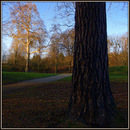 2020 fängt ja schon mal gut an