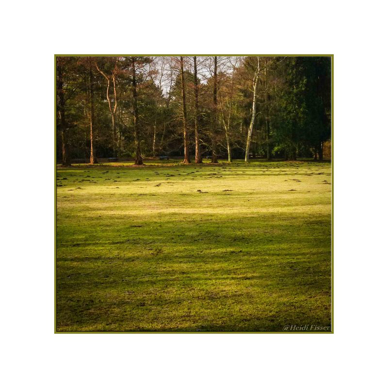 Im Hamburger  Stadtpark 