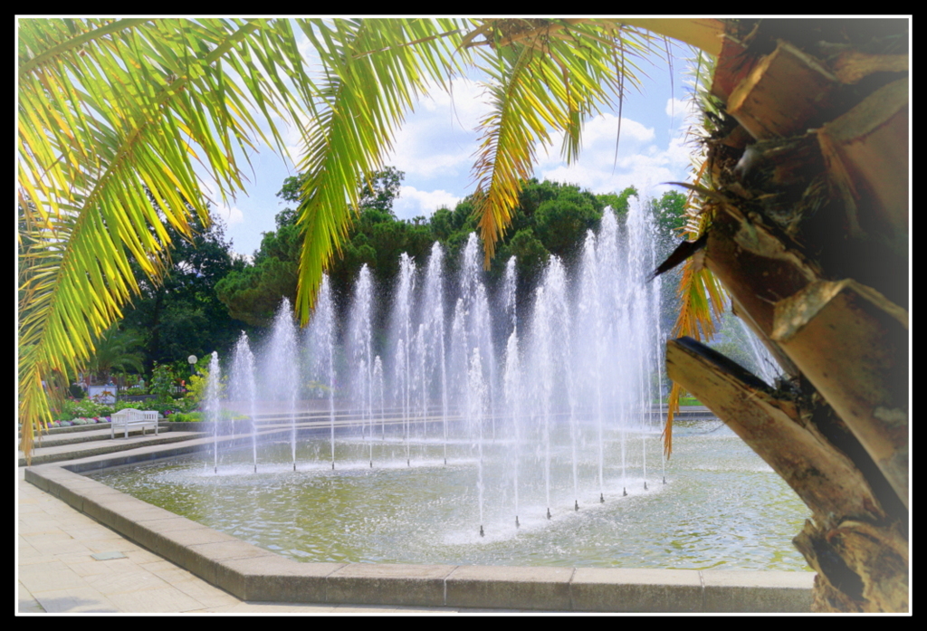 Palmengarten Frankfurt/Main