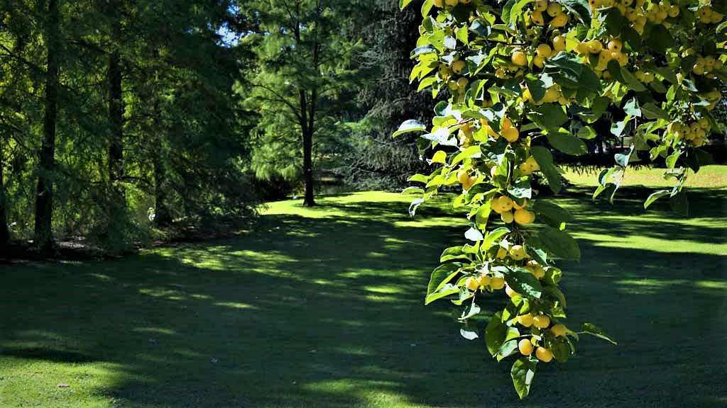 Licht und Schatten III