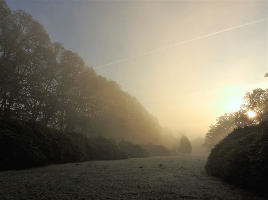 Hirschpark Blankenese 3