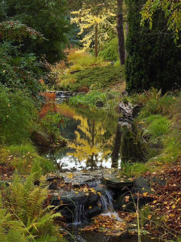 Botanischer Garten Hamburg