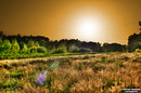 Fotos_Heide