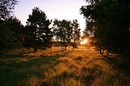 Sonnenaufgang in der Heide...