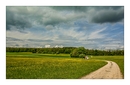 Fotos_Heide