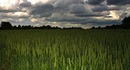 Fotos_Felder / Äcker