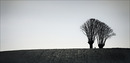Fotos_Felder / Äcker