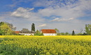 Fotos_Felder / Äcker