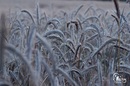 NATUR PUR 