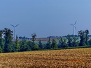 Fotos_Felder / Äcker