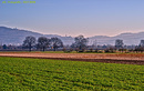 Feld Weinheim