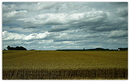 Fotos_Felder / Äcker