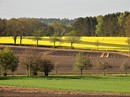 Blick über die Felder