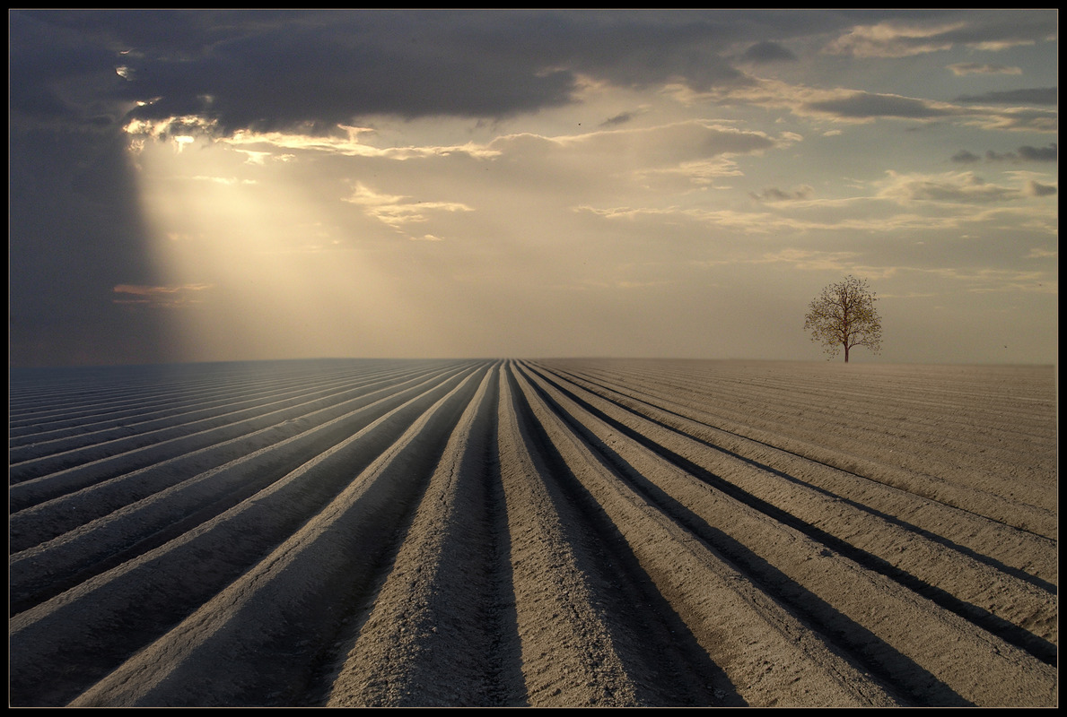 Schatten