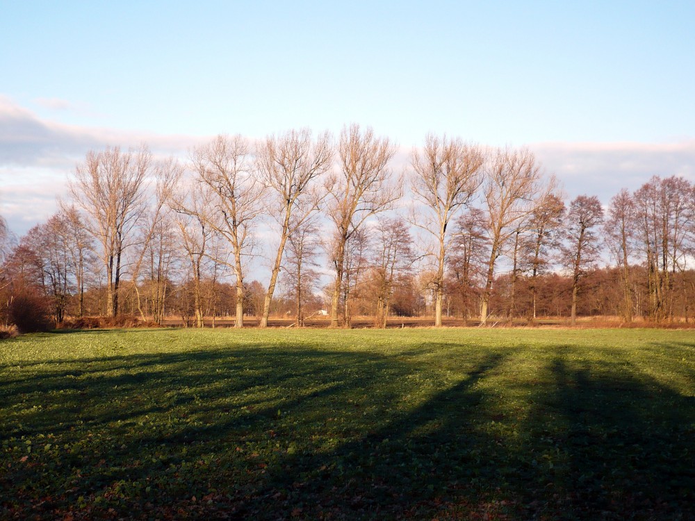 weites Feld