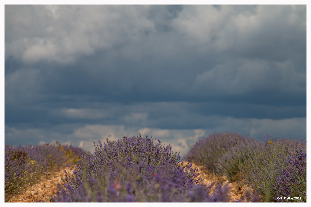 Provence