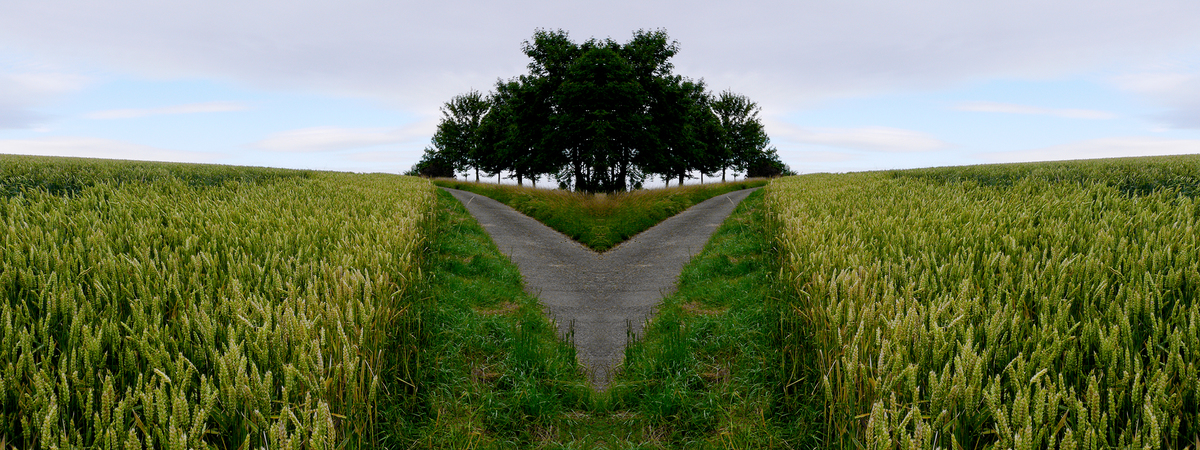 Ein Feldweg, ein Weizenfeld