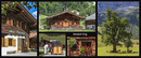 Fotos_Wiesen & Weiden