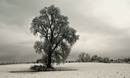 Winterwunderland