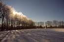 Wintersonne