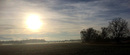 Fotos_Wiesen & Weiden