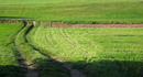 Fotos_Wiesen & Weiden