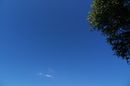 Der Birnenbaum und die Wolke
