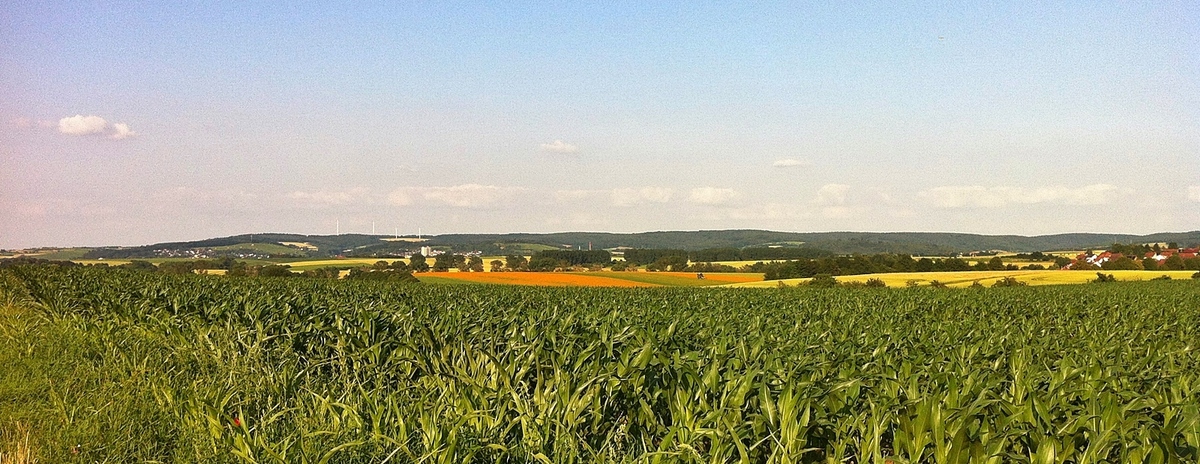 Quer durch den Odenwald ...