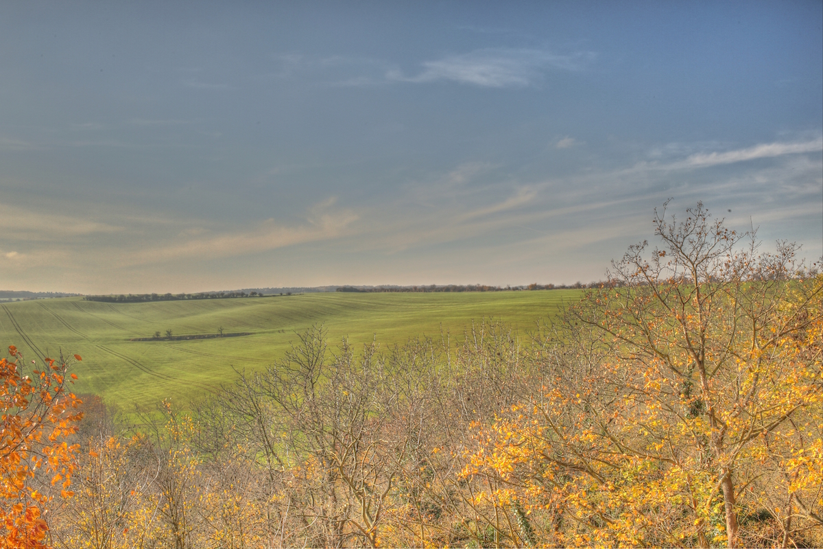 Blick der Entspannung