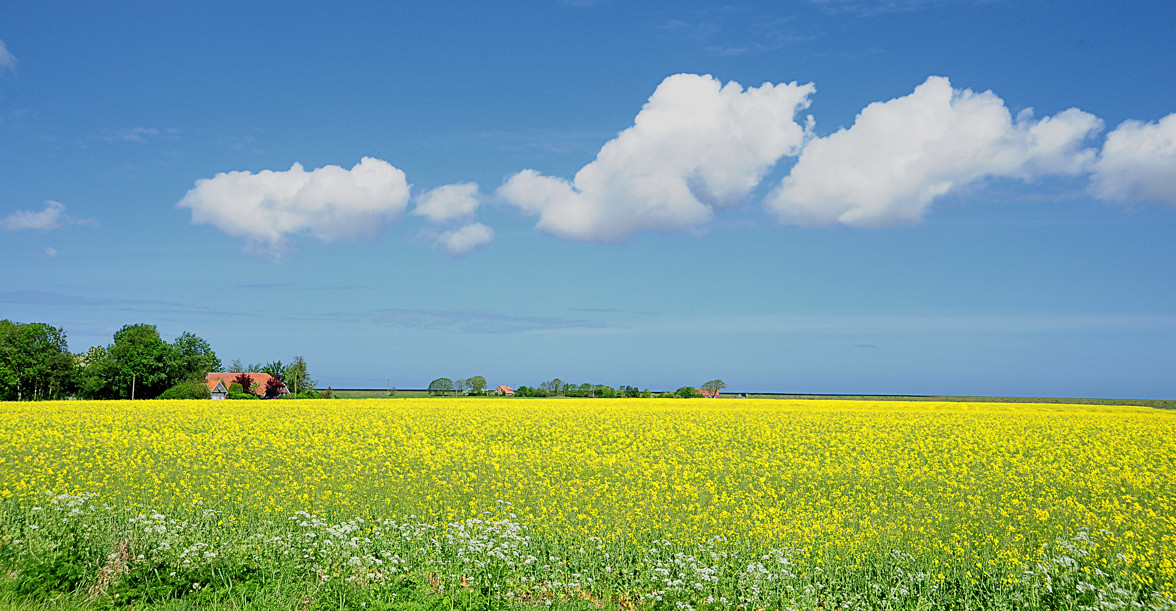 Ostfriesland
