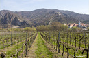 Wachau