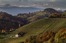 Fotos_Weinberge & Obstbau