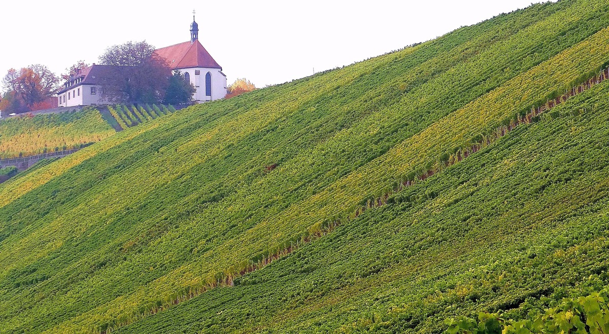 HEIMAT- Weinland