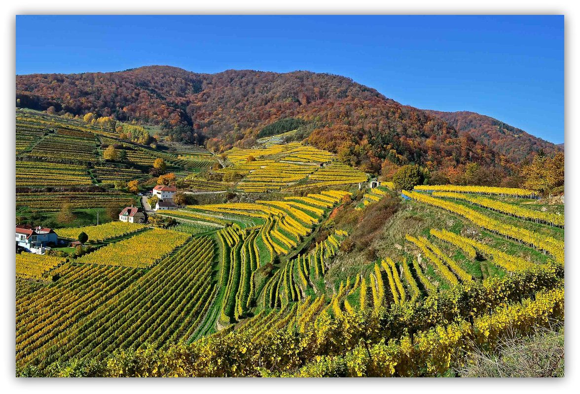 Wachau-Herbst 1