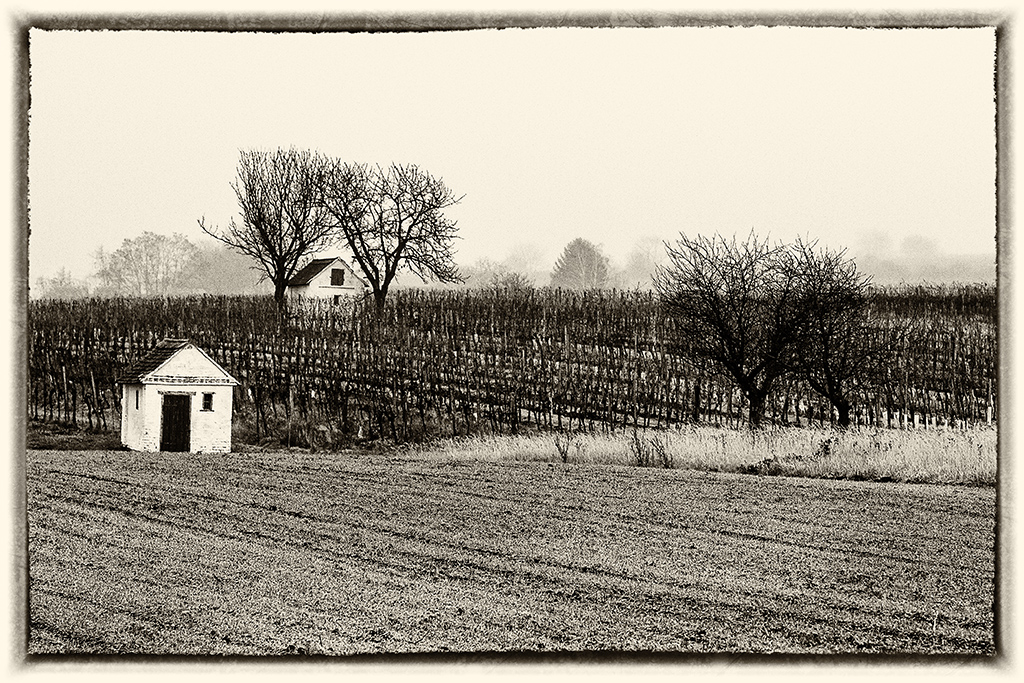 Weinkeller im Dezember