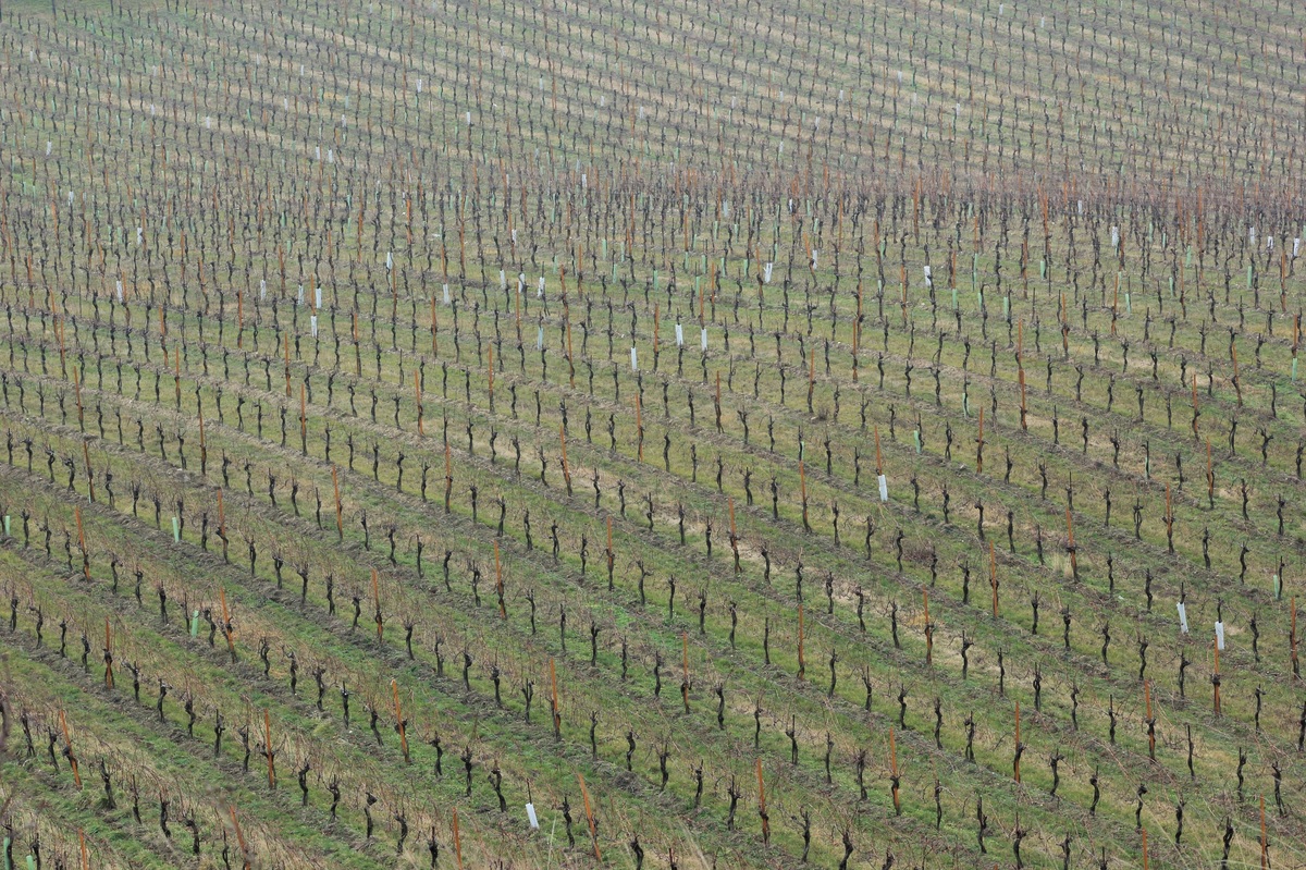 Warten aus Frühjahr