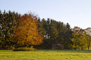 idyll