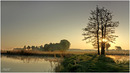 Am Weiher